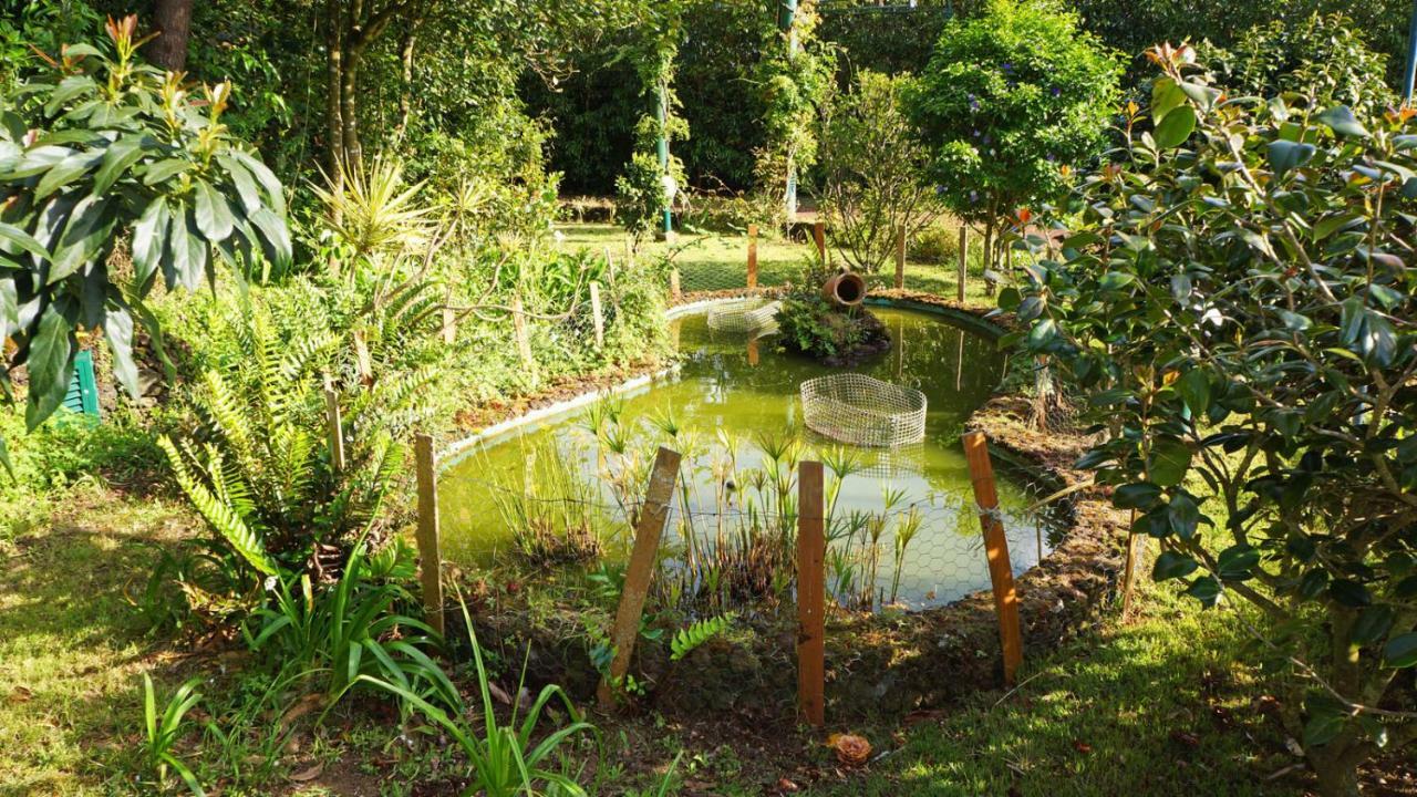 Апартаменты Quinta Dos Aromas Лагоа Экстерьер фото